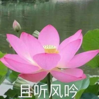“文博热”展现三晋文化魅力